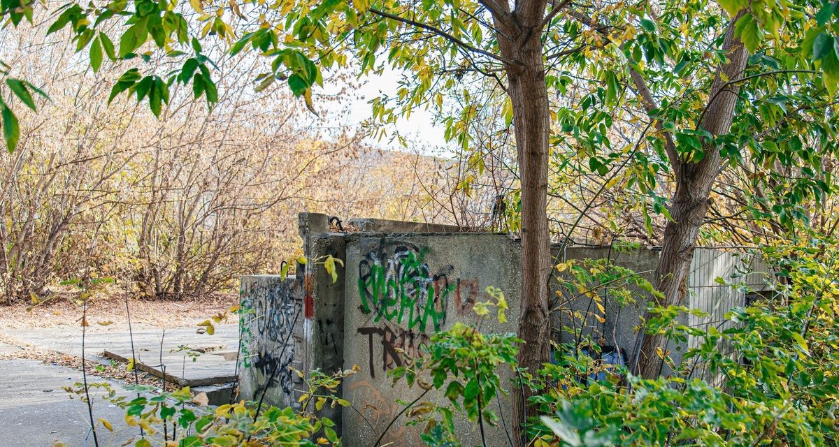 Глава Липецка приехал в Военный городок по жалобам жителей, и опиловку начали в тот же день