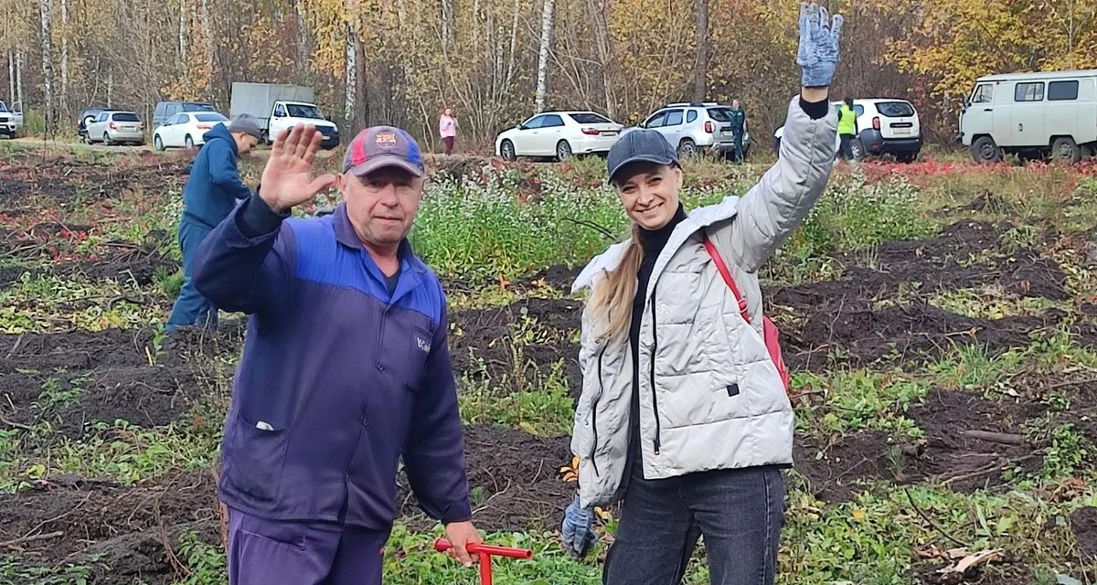 Более 200 человек высадили под Липецком 15 тысяч сосен, а после угостились полевой кашей